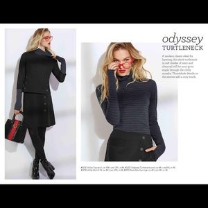 Cabi Odyssey Turtleneck- Blue and Grey Striped